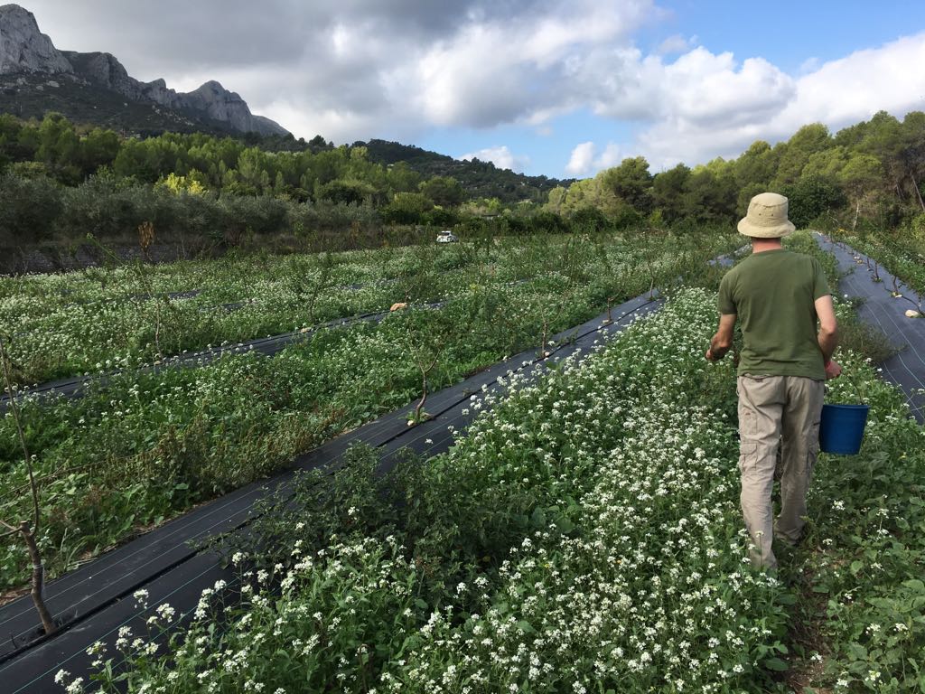 Imagen de Javier Savall y su esposa