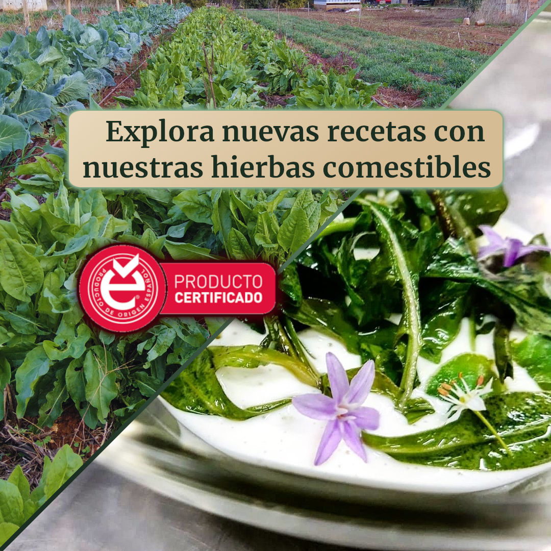 Banner herbes menjívoles