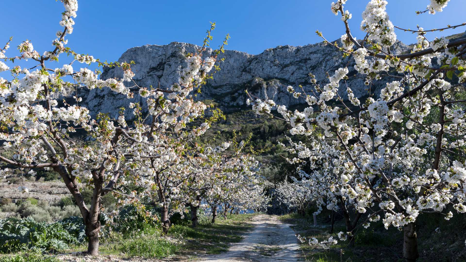 Imatge de la vall de la gallinera